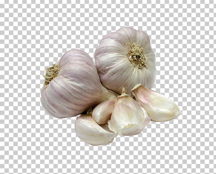 Garlic Onion Food Wholesale Spice PNG, Clipart, Cartoon Garlic, Chili Garlic, Chili Pepper, Drink, Flavor Free PNG Download