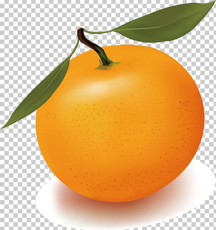 Orange Juice Free Content PNG, Clipart, Citrus, Food, Fruit, Fruit Nut, Fruits And Vegetables Free PNG Download