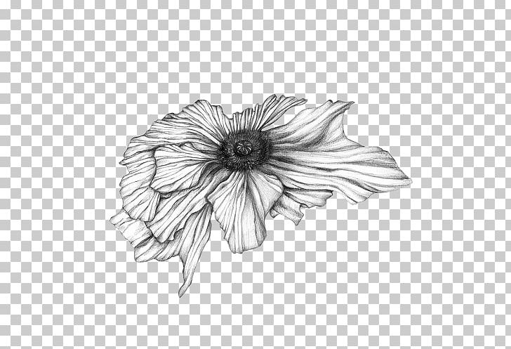 Petal Cut Flowers Plant Art PNG, Clipart, Angel Trumpet, Art, Artwork, Black And White, Brand Free PNG Download