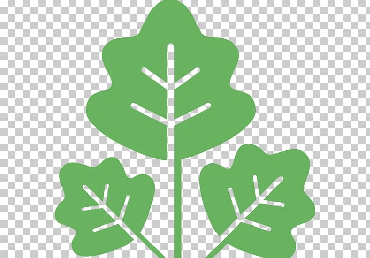 Tree Computer Icons PNG, Clipart, Avatar, Computer Icons, Crop, Download, Encapsulated Postscript Free PNG Download