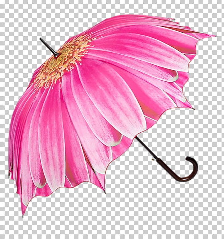 Umbrella Cover Museum Clothing Accessories Rain Blume PNG, Clipart, Art, Auringonvarjo, Blume, Burberry, Clothing Free PNG Download