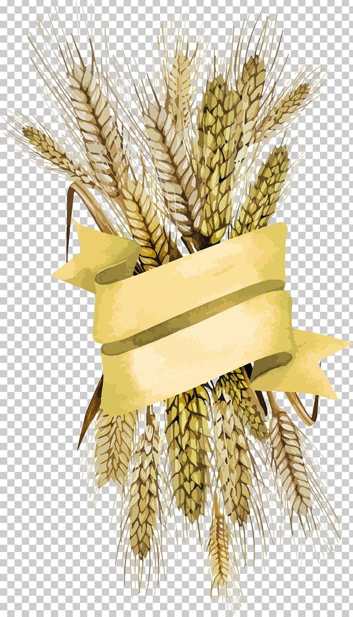 Wheat PNG, Clipart, Wheat Free PNG Download