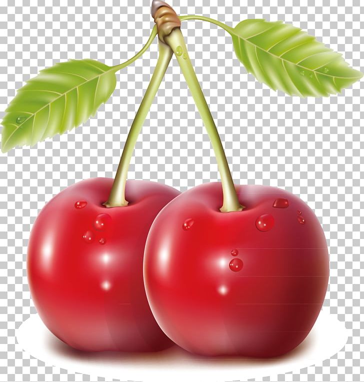 Cherry Blueberry Fruit PNG, Clipart, Apple, Berry, Blackberry, Cherry Blossom, Cherry Blossoms Free PNG Download