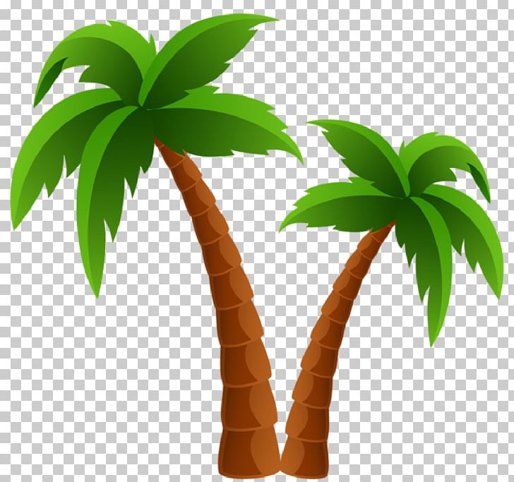 Arecaceae Tree PNG, Clipart, Arecaceae, Arecales, Autocad Dxf, Coconut, Computer Icons Free PNG Download
