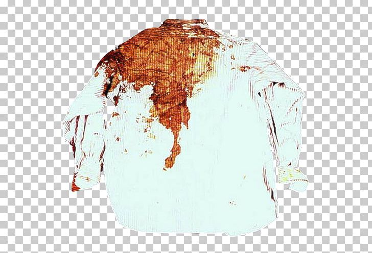 Assassination Of John F. Kennedy John F. Kennedy Autopsy United States Warren Commission PNG, Clipart, Assassination, Assassination Of John F Kennedy, Blouse, Bullet Hole, Gal Free PNG Download