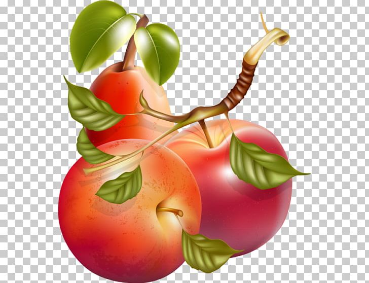 Fruit Apple Vegetable PNG, Clipart, Accessory Fruit, Apple, Diet Food, Download, Food Free PNG Download
