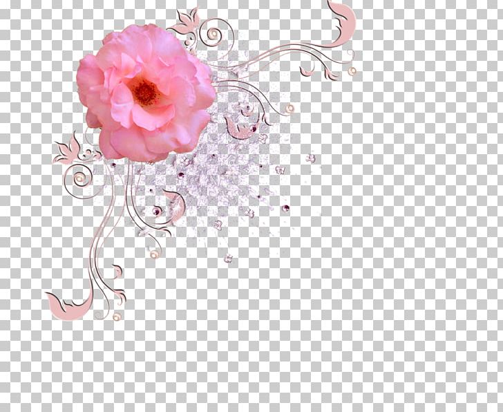 Garden Roses PNG, Clipart, Albom, Floral Design, Flower, Flower Arranging, Flowering Plant Free PNG Download