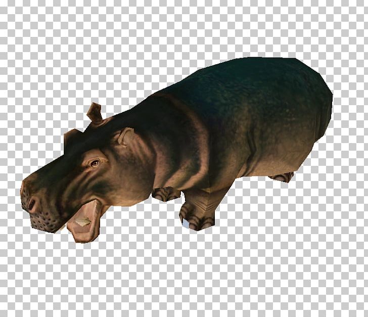 Hippopotamus Snout Wildlife PNG, Clipart, F D, Hippopotamus, Mtl, Others, Snout Free PNG Download