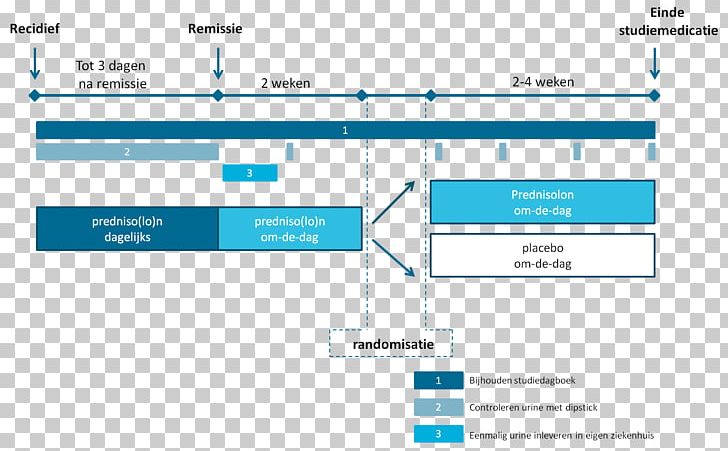 Restern Radboud University Medical Center Research Information Nephrotic Syndrome PNG, Clipart, Angle, Area, Brand, Diagram, Document Free PNG Download