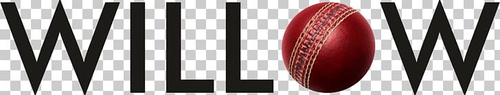 विल्लो Television Channel Indian Premier League Streaming Media PNG, Clipart, 2017 Icc Champions Trophy Final, Broadcasting, Channel, Icc Champions Trophy, Indian Premier League Free PNG Download