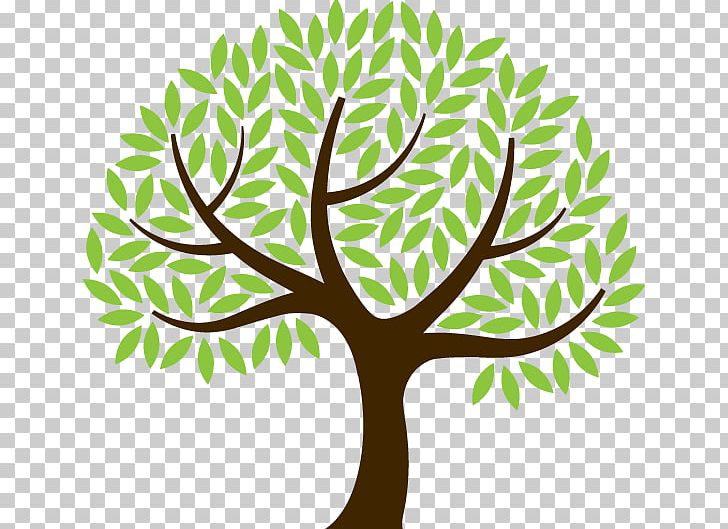 The Foundations Of Mathematics Twig Tree Root PNG, Clipart, Artwork, Branch, Drawing, Education Tree, Flora Free PNG Download