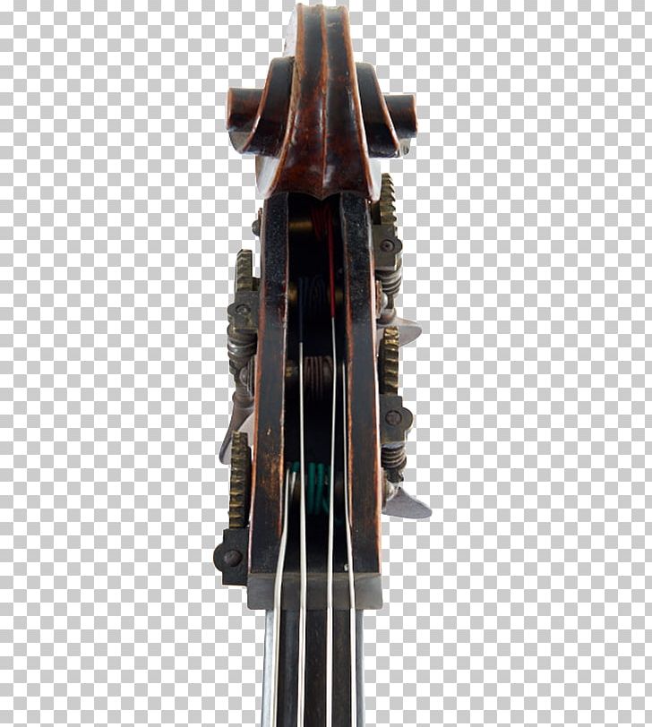 Cello Double Bass Violin Scroll PNG, Clipart, Bass Guitar, Bowed String Instrument, Camillo Mandelli, Cello, Double Bass Free PNG Download