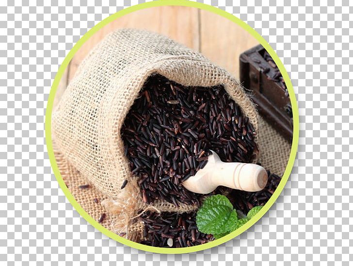 Earl Grey Tea Tea Plant PNG, Clipart, Earl, Earl Grey Tea, Tea Plant Free PNG Download