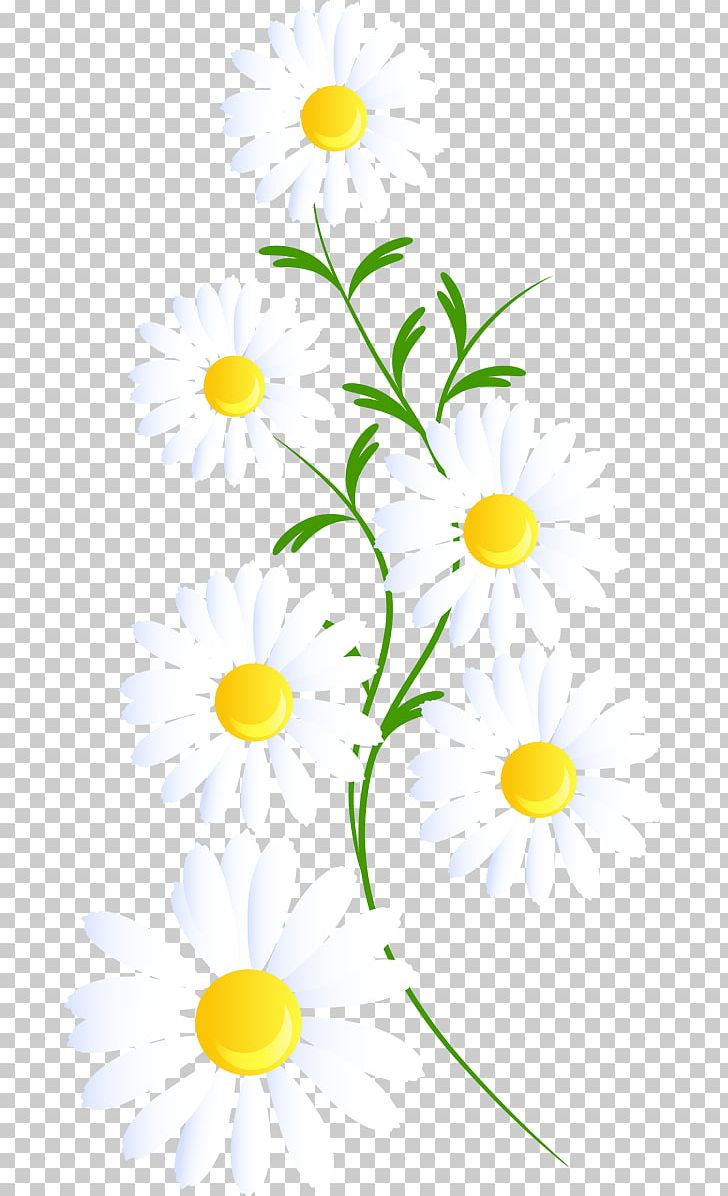 Floral Design Line Plant Stem PNG, Clipart, Art, Branch, Branching, Camomile, Circle Free PNG Download