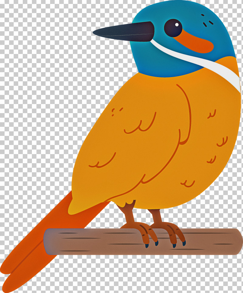 Beak Orange S.a. PNG, Clipart, Beak, Bird, Cartoon Bird, Cute Bird, Orange Sa Free PNG Download