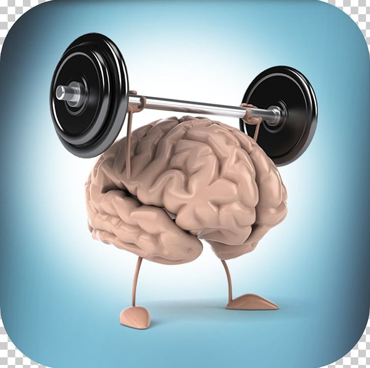 Brain Memory Mind Health PNG, Clipart, Brain, Comfort, Exercise, Feeling, Health Free PNG Download