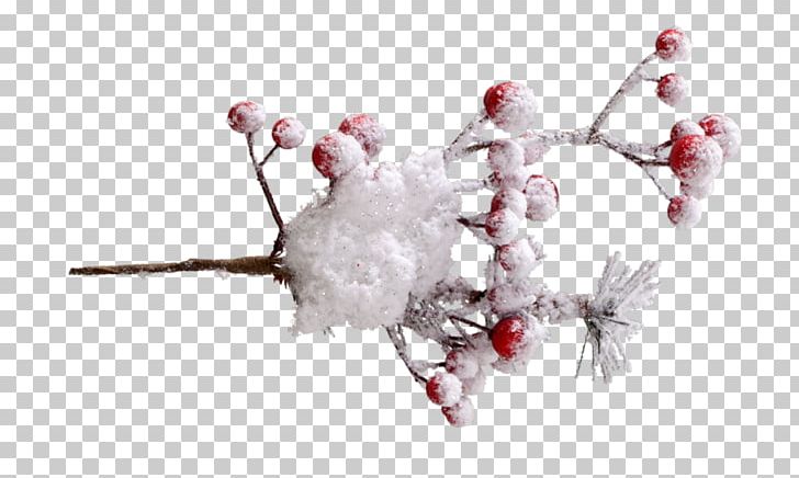 Branch Twig Tree Body Jewellery Snow PNG, Clipart, Berries, Body Jewellery, Body Jewelry, Branch, Food Drinks Free PNG Download