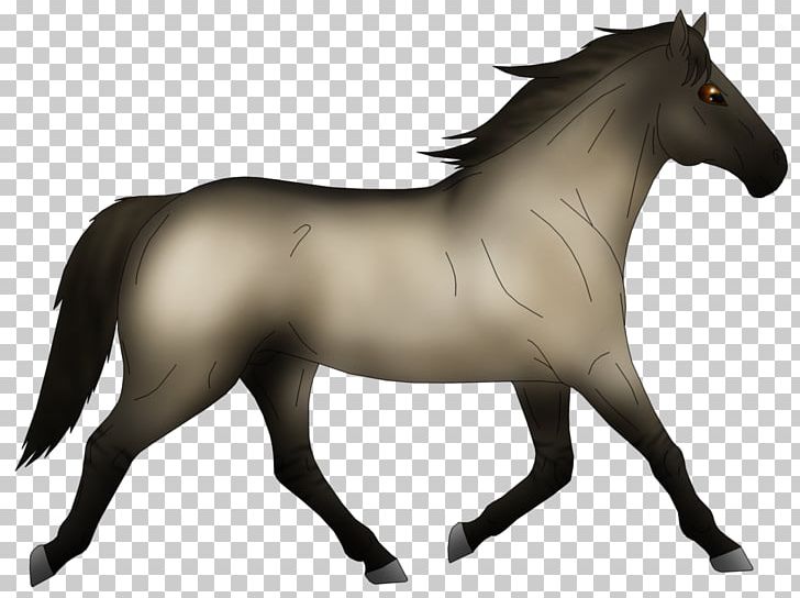 Mane Mustang Stallion Pony Mare PNG, Clipart, Bane, Halter, Horse, Horse Like Mammal, Horse Tack Free PNG Download
