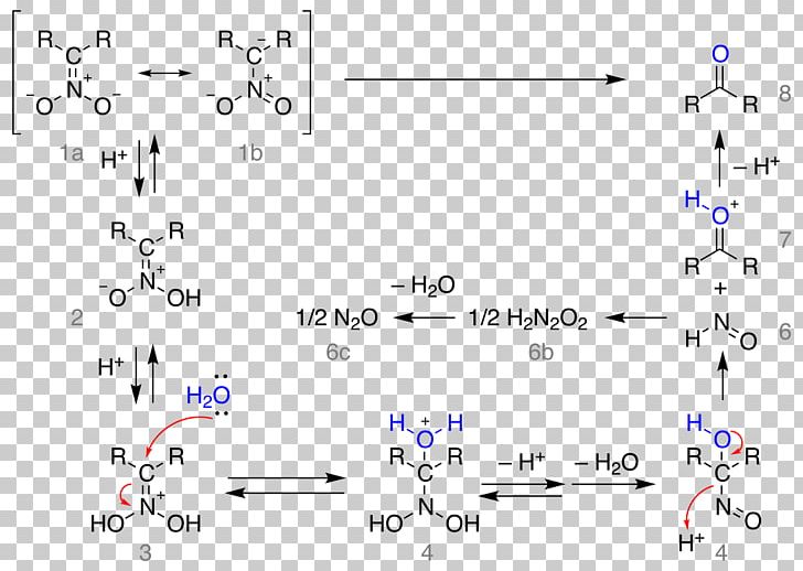 Nef Reaction Nitronate Iminium Resonance Nitroethane PNG, Clipart, Angle, Area, Carboxylic Acid, Chemical Reaction, Chemist Free PNG Download