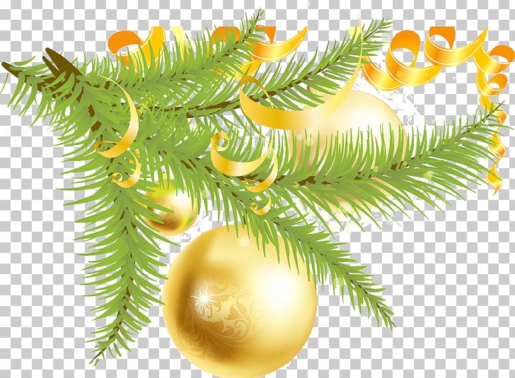 Territoriya Pechati Spruce Envelope Paper New Year Tree PNG, Clipart, Branch, Christmas, Christmas Decoration, Christmas Ornament, Conifer Free PNG Download