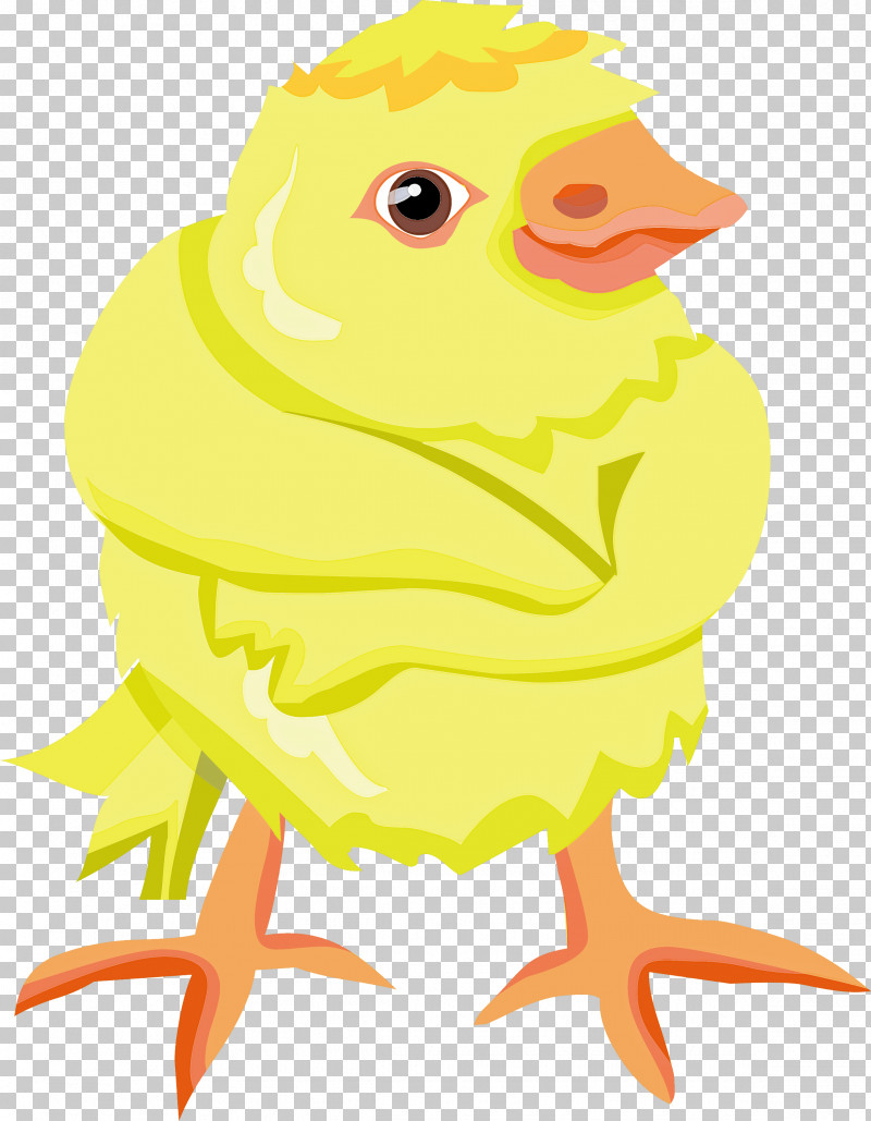 Baby Chicken PNG, Clipart, Baby Chicken, Beak, Bird, Chicken, Parrot Free PNG Download