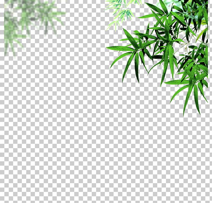Bamboo Leaf Portable Document Format Chrysanthemum PNG, Clipart, Angle, Area, Bamboo Frame, Bamboo Leaf, Bamboo Leaves Free PNG Download