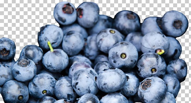 Blueberry Bee Nutrition Fruit Food PNG, Clipart, Antioxidant, Bee, Berry, Bilberry, Blueberries Free PNG Download