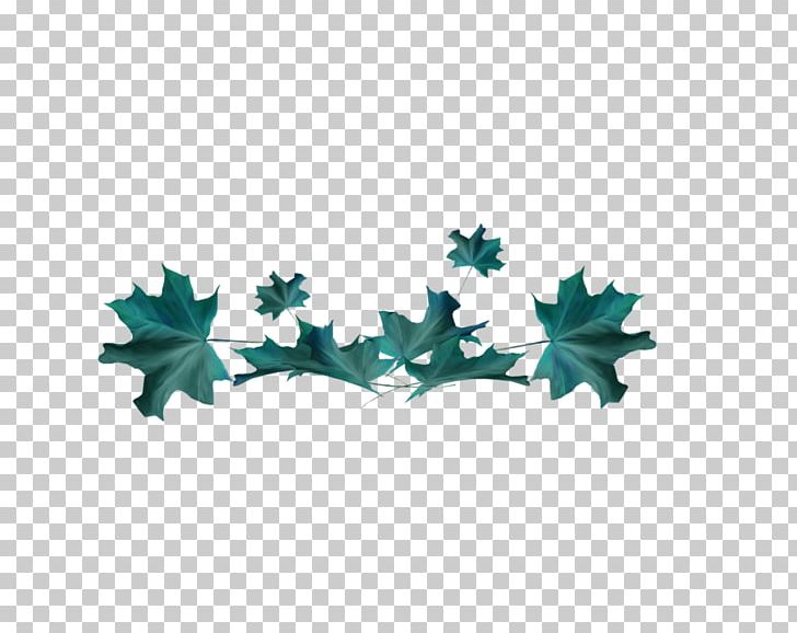 Branch Leaf Education PNG, Clipart, Branch, Education, Entertainment, Film, Homework Free PNG Download