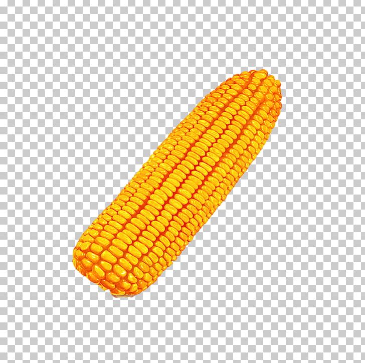 Corn On The Cob Maize Caryopsis Crop Seed PNG, Clipart, Broomcorn, Cartoon Corn, Caryopsis, Commodity, Corn Free PNG Download