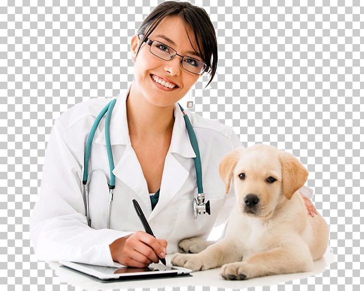 Puppy Dog Breed Veterinarian Veterinary Medicine PNG, Clipart, Animals, Animal Welfare, Carnivoran, Companion Dog, Dog Free PNG Download
