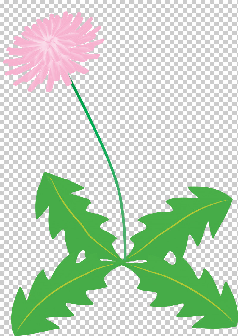 Dandelion Flower PNG, Clipart, Arums, Branch, Common Daisy, Dandelion Flower, Floral Design Free PNG Download