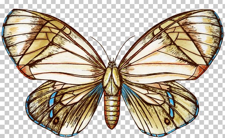 Monarch Butterfly Pieridae Moth Nymphalidae PNG, Clipart, Arthropod, Brush Footed Butterfly, Butterfly, Insect, Insects Free PNG Download