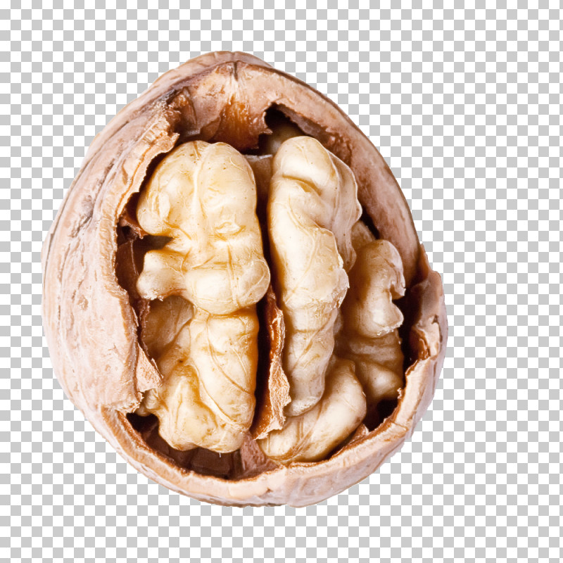 Walnut Nut Food Ginger Plant PNG, Clipart, Food, Ginger, Nut, Plant, Walnut Free PNG Download