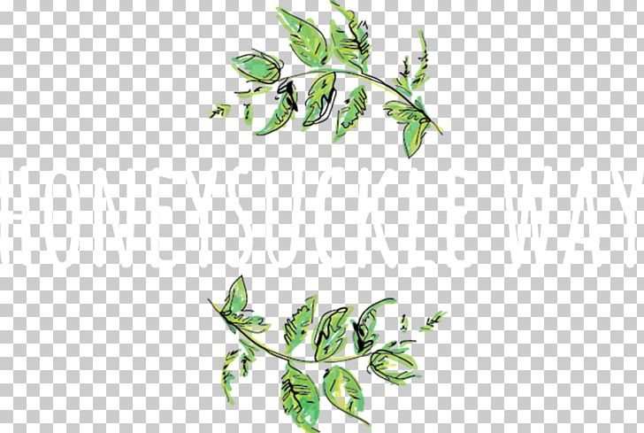 Honeysuckle Way Flowers Floral Design Floristry PNG, Clipart, Branch, Flora, Floral Design, Floristry, Flower Free PNG Download