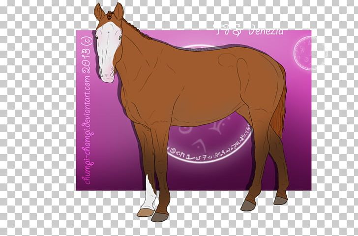 Mule Foal Mustang Stallion Mare PNG, Clipart, Bridle, Cartoon, Colt, Foal, Halter Free PNG Download