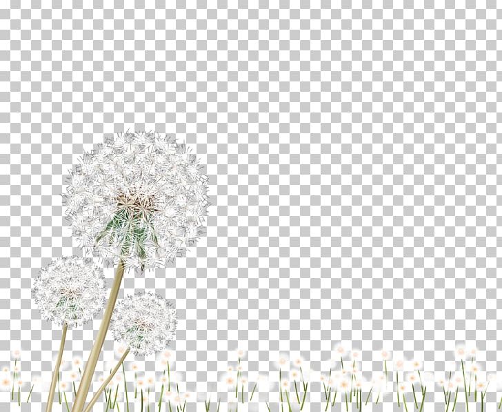 Petal Pattern PNG, Clipart, Background White, Black White, Dandelion, Dandelions, Dandelion Vector Free PNG Download