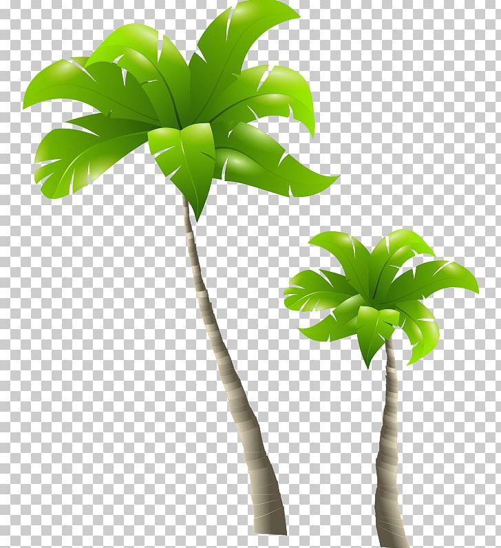 Arecaceae Tree PNG, Clipart, Arecaceae, Arecales, Banana Leaf, Branch, Date Palm Free PNG Download