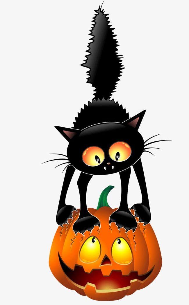 Black Cat Pumpkin PNG, Clipart, Animals, Black, Black Cat, Black Clipart, Black Clipart Free PNG Download