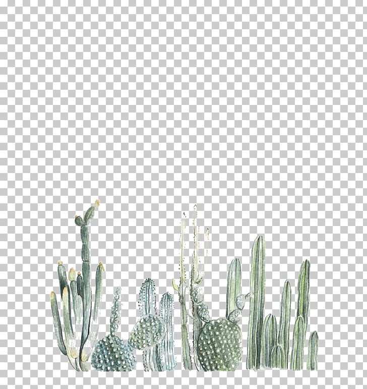 Cactaceae Paper Printing Painting Printmaking PNG, Clipart, Cactus, Cactus Cartoon, Cactus Flower, Cactus Vector, Cactus Watercolor Free PNG Download