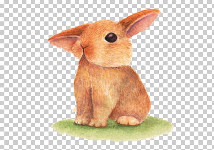 Domestic Rabbit Easter Bunny PNG, Clipart, Animals, Brown, Color, Computer Icons, Dom Free PNG Download