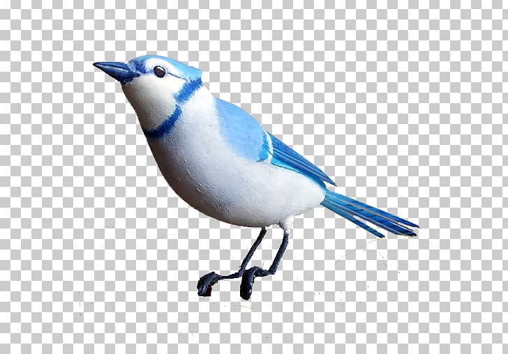 Songbird European Robin PNG, Clipart, American Robin, Animals, Beak, Bird, Blackthroated Blue Warbler Free PNG Download