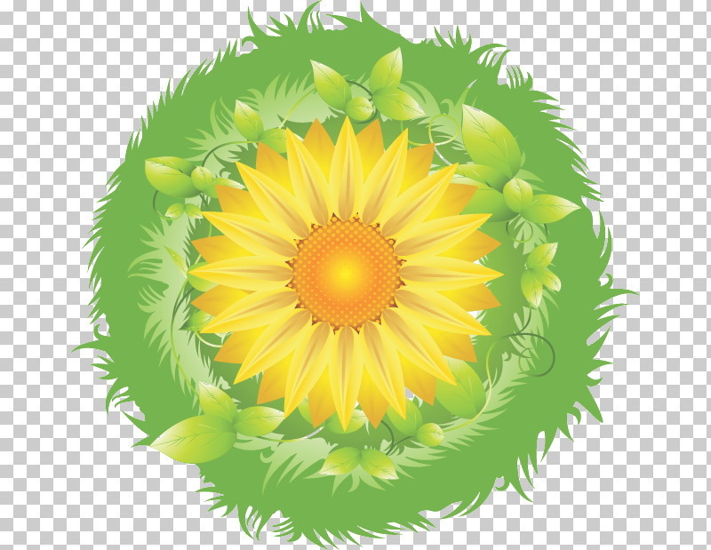 Sunflower Summer Flower PNG, Clipart, Dandelion, Petal, Summer Flower, Sunflower, Yellow Free PNG Download