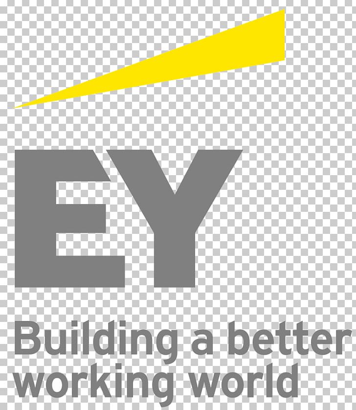 Ernst & Young Baltic Business Assurance Services Big Four Accounting Firms PNG, Clipart, Accountant, Angle, Area, Assurance Services, Audit Free PNG Download