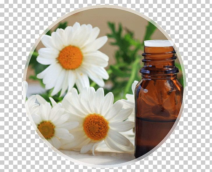 Essential Oil Tea Tree Oil Health Chamomile PNG, Clipart, Aroma Compound, Aromatherapy, Chamomile, Cosmetics, Eating Free PNG Download
