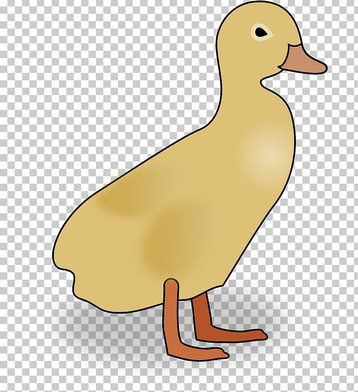 Duck PNG