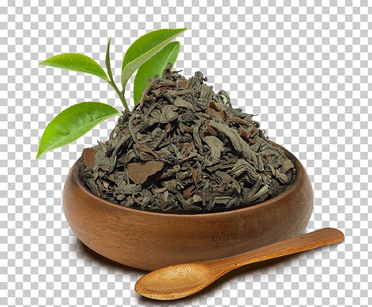 Nilgiri Tea Hōjicha Darjeeling Tea Green Tea PNG, Clipart, Assam Tea, Bai Mudan, Bancha, Biluochun, Black Tea Free PNG Download