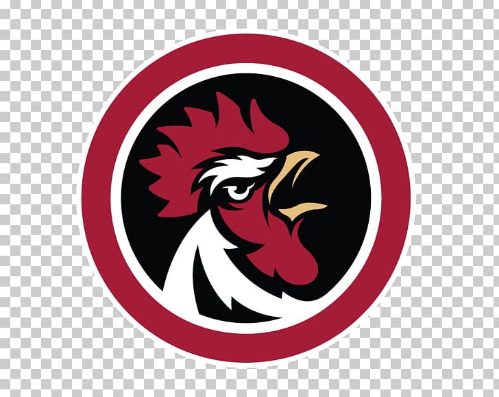 South Carolina Gamecocks Football 2016 Southeastern Conference Football Season South Carolina Gamecocks Men's Basketball Tennessee Volunteers Football PNG, Clipart,  Free PNG Download