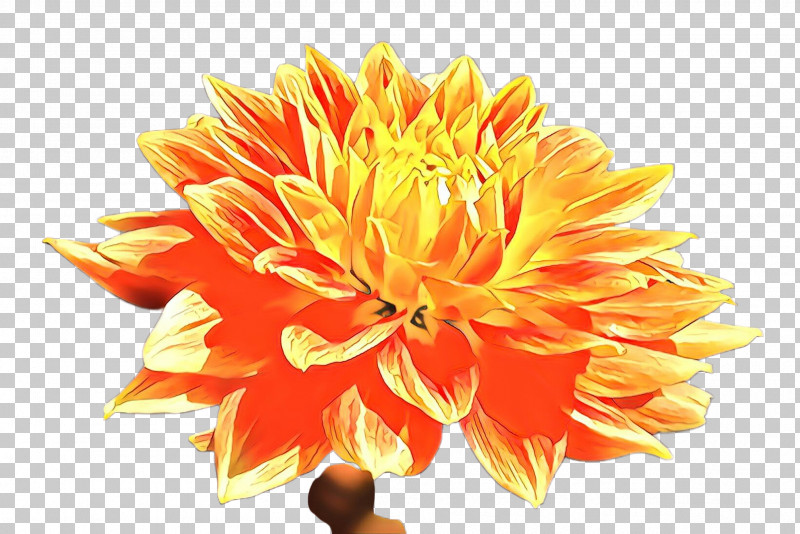 Artificial Flower PNG, Clipart, Artificial Flower, Cut Flowers, Dahlia, Daisy Family, English Marigold Free PNG Download