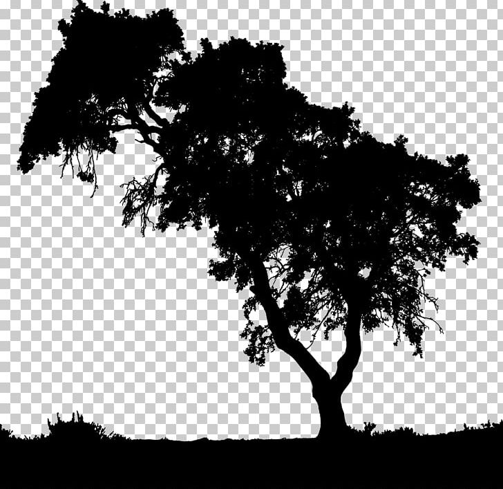 Child Video PNG, Clipart, Black And White, Branch, Child, Daughter, Download Free PNG Download