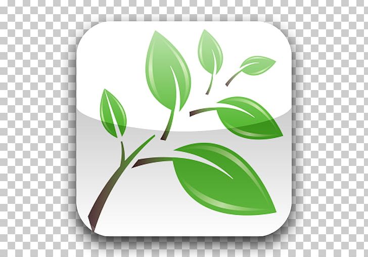 Plant Stem Leaf Font Product Computer Icons PNG, Clipart, Apl, Asb, Branch, Computer Icons, Grass Free PNG Download